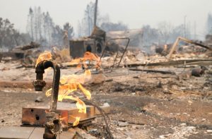 Sonoma Fire Aftermath